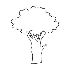 tree icon over white background. vector illustration