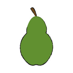 pear fruit icon over white background. vector illustration