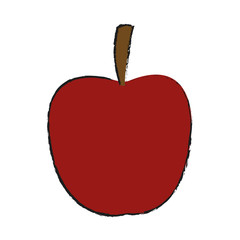 tomato fruit icon over white background. vector illustration