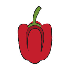 pepper vegetable icon over white background. vector illustration