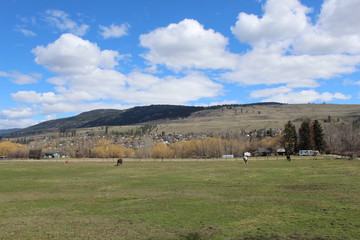 Scenic farm landscape with horses in green field and mountains with bright blue sky and white clouds in background.
