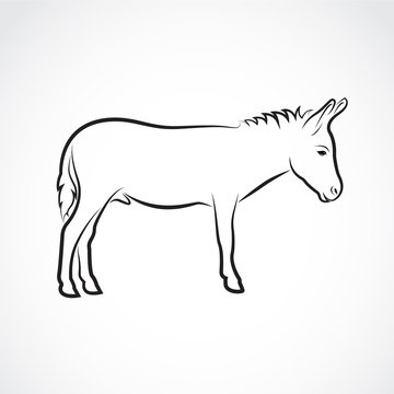 Vector of a donkey on white background. Wild Animals.