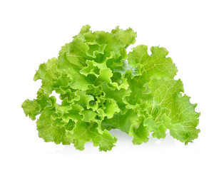 fresh green lettuce salad leaves isolated on white background.