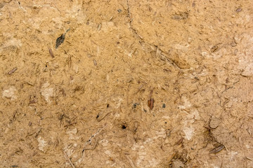 Close up rough cardboard texture background