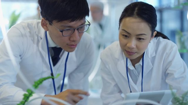  Young Asian research scientists checking plant samples in laboratory & having discussion. 