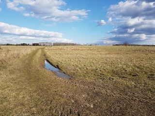 Droga w polu © michalsen