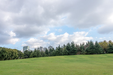 Fototapeta na wymiar green meadow in central park with Shanghai cityscape in background.