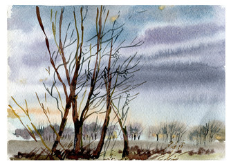 Wood, landscape, watercolor