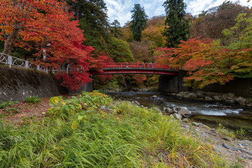 Fudo stream in autumn season at Nakano momiji mountain, Kuroishi, Aomori, Japan.