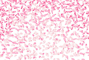 Spring vector background with falling pink petals of sakura blossom