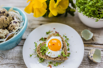 Roasted quail egg with cress on the bread on a wooden background. 