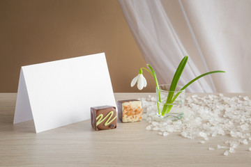 Greeting card with snowdrop and chocolate on the table. Spring flower.
