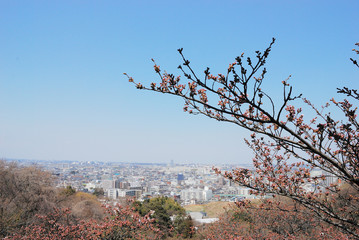 街並み