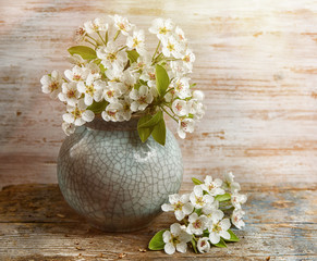 spring blossom in a pot in sunshine 