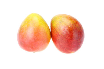 Two ripe mango of red and orange colors