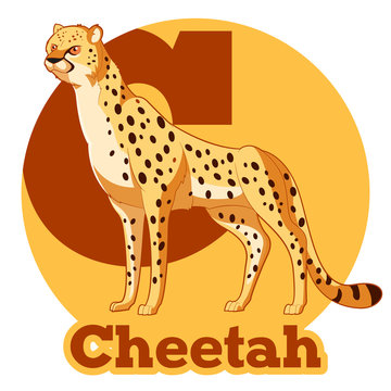 ABC Cartoon Cheetah
