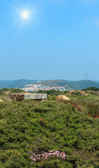 Fototapeta na wymiar Sunshiny Carrapateira village, Portugal.