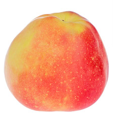 Gloucester single apple isolated on white