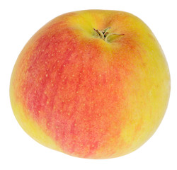 Royal Gala apple on white
