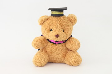 Brown bear wearing a graduation cap on a white background.
