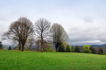Bare trees on the horizon against the Vosges mountains in France in the spring in cloudy weather.
