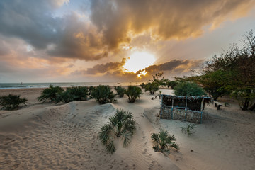 Africa