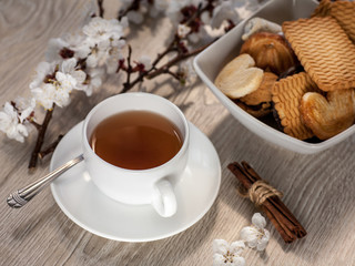 Tea and apricot flowers