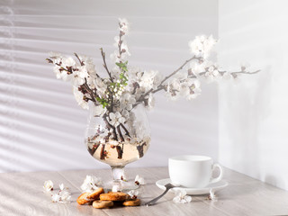 Tea and apricot flowers