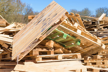 Wooden pallets in a pile of large woody debris that will be recycled. - 143402108