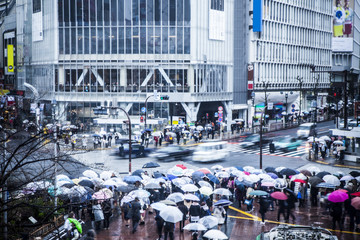 People crossing an intersection by pulling an umbrella