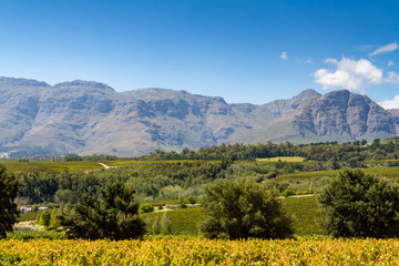 South African Landscape