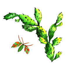 Tropical cactus tree in a watercolor style isolated.