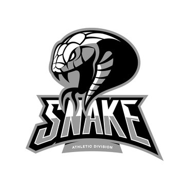Furious snake sport vector logo concept isolated on white background. Modern professional team badge design.
Premium quality wild animal t-shirt tee print illustration.