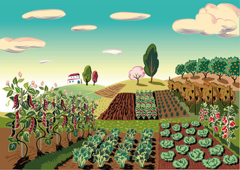 agricultural landscape, cultivated with various vegetables and fruit trees.