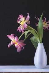 Verblühte Tulpen im Tageslicht