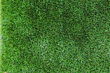 Fototapeta premium artificial grass