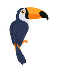 Toucan Bird Cartoon Icon in Flat Design