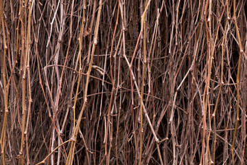 Many brunches, closeup fence background