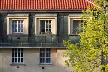 The front facade of the old historical building and green tree in the foreground.