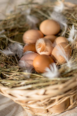 Домашние яйца в перьях и корзине