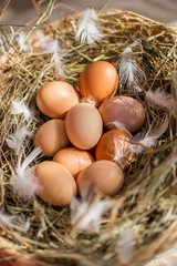 Домашние яйца в перьях и корзине