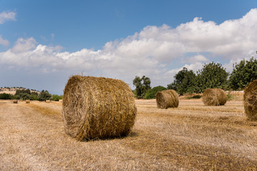 Straw Bales