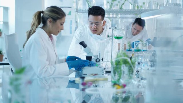  Research scientists studying plant life in lab & discussing their findings