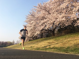 Man running in park with cherry blossoms in bloom in spring
