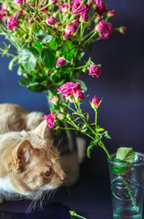 The small cat sitting near  vase with flowers