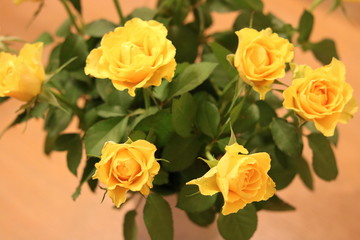 Bukiet żółtych róż © Wioletta