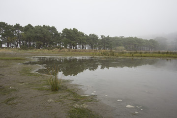 Inlet. Navia. Asturias. Spain.