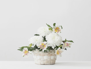 chrysanthemum in basket on white background