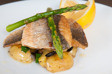 gourmet seafood dish of fish and asparagus on a white plate