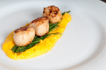 gourmet seafood dish of scallops and asparagus on a white plate
